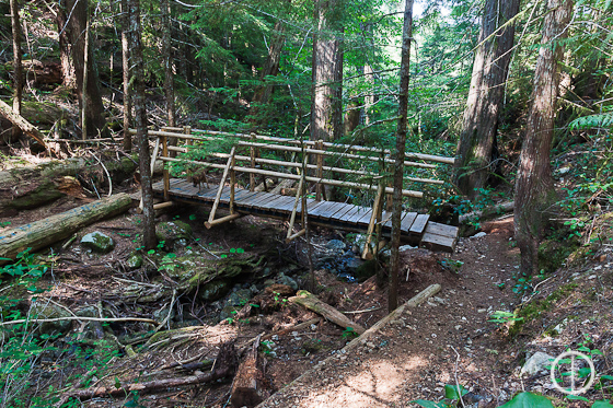 Bridge - Alberni Inlet Trail - PureOutside