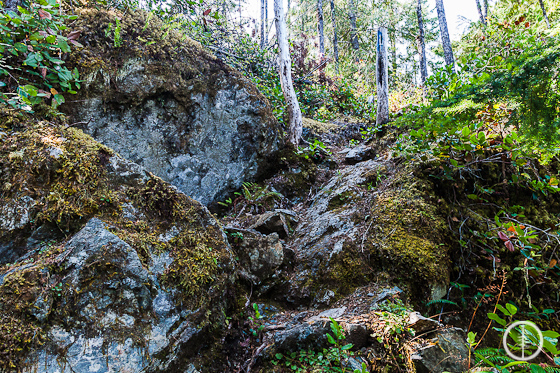 Lookout trail - Alberni Inlet Trail - PureOutside