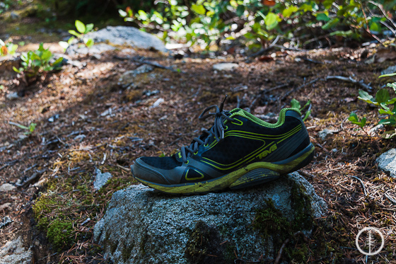 Teva Tevesphere shoes - Alberni Inlet Trail - PureOutside