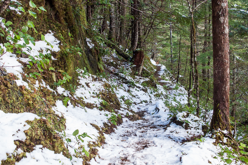 Slippery snow | Arrowsmith CPR Trail Trip Report