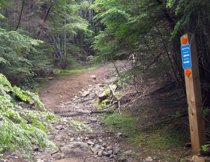 Witchcraft trail up Mount Benson